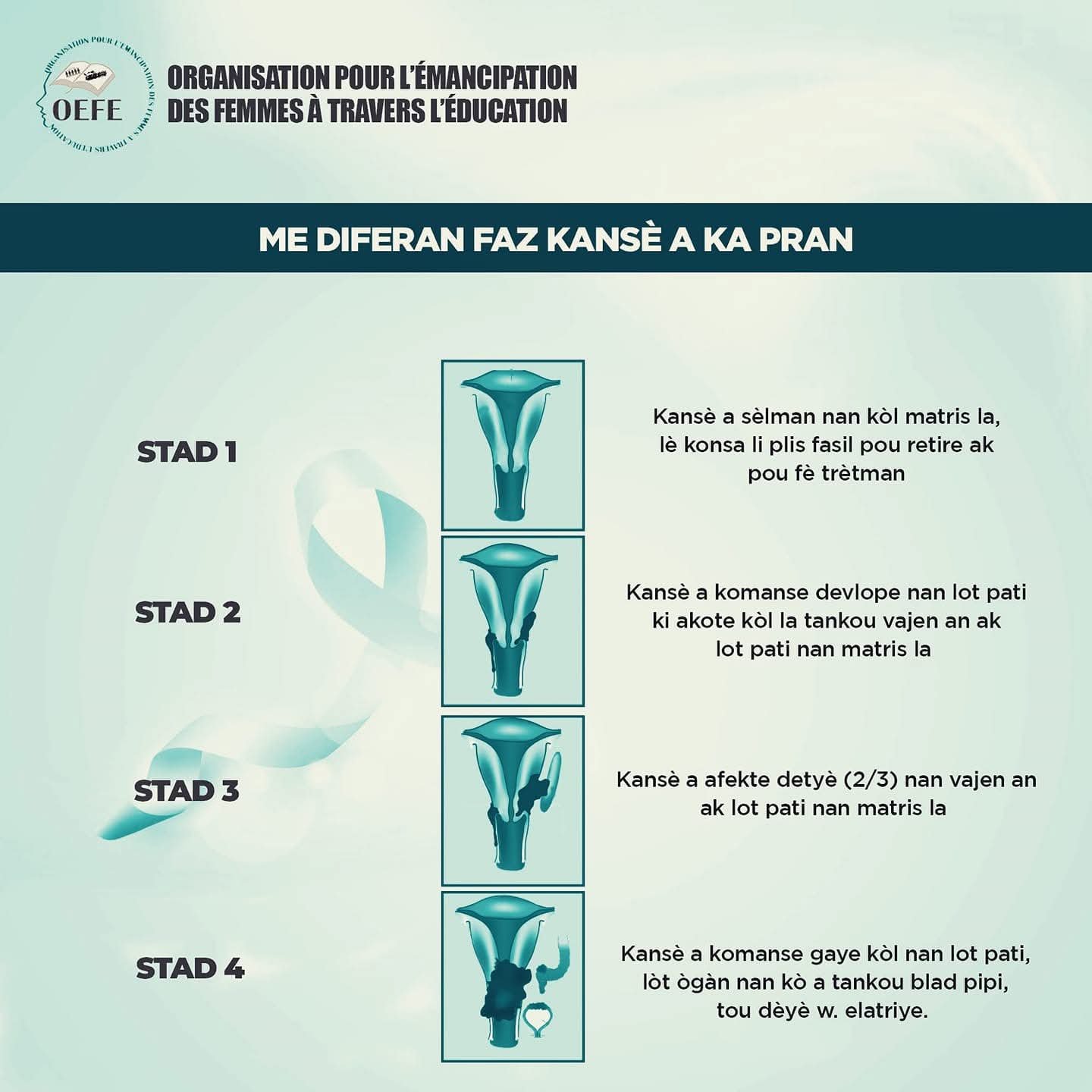 Flyer d'activites — photo